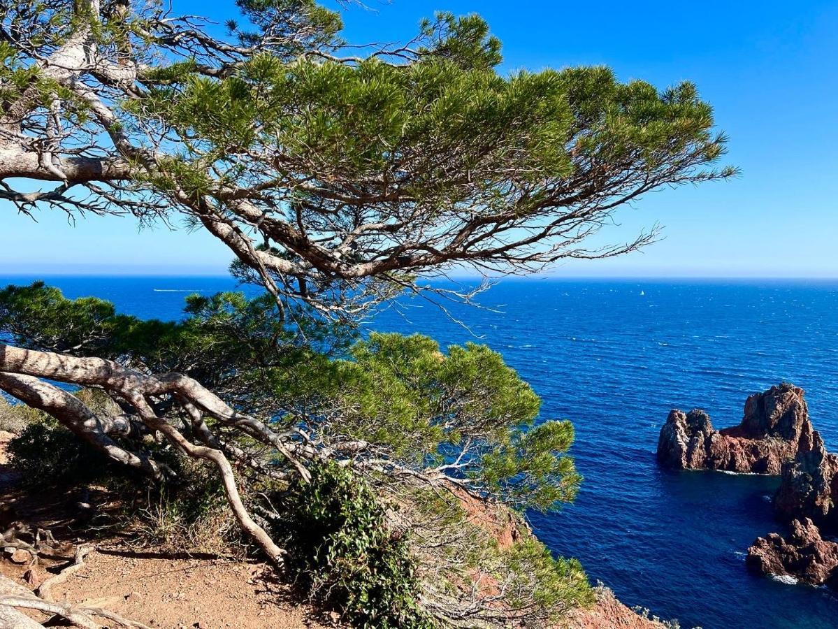 Les Cactus Frejus Plage Экстерьер фото