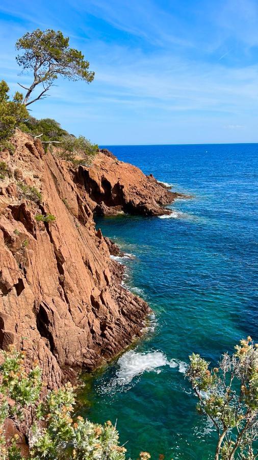 Les Cactus Frejus Plage Экстерьер фото