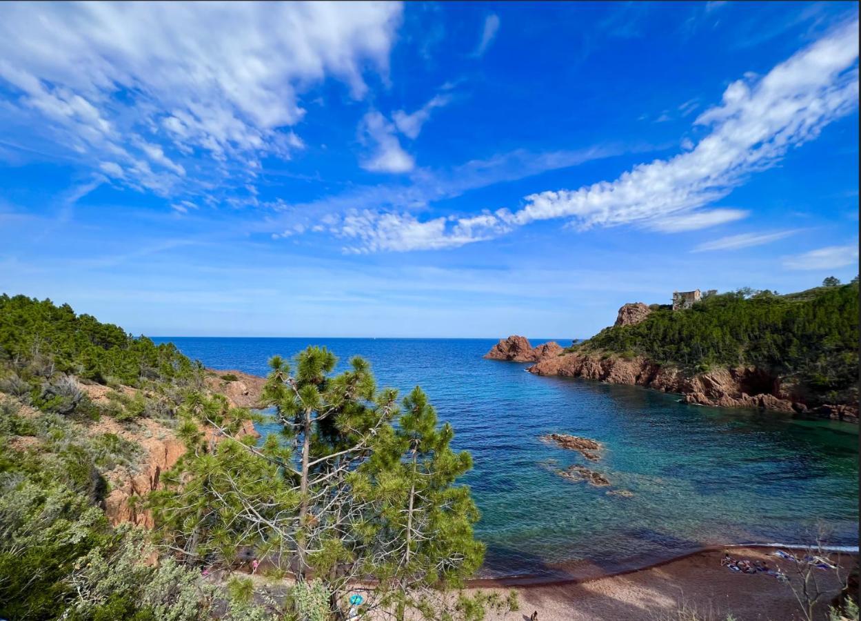 Les Cactus Frejus Plage Экстерьер фото