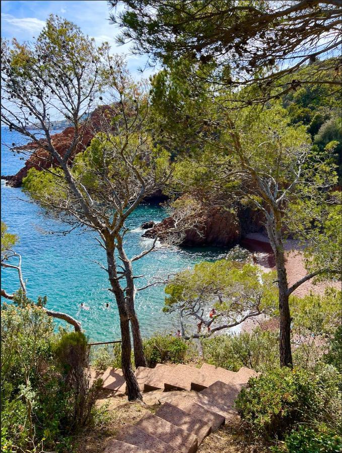 Les Cactus Frejus Plage Экстерьер фото